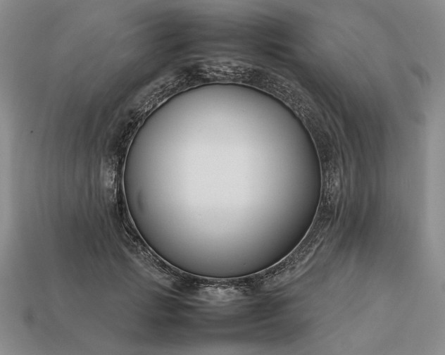 X0000113370749200909291051