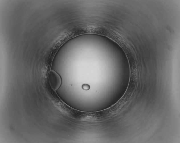 X0000113370750200909291051