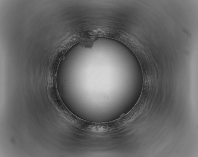 X0000113370751200909291051