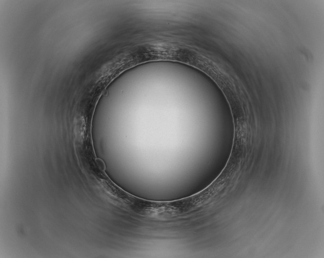 X0000113370752200909291051