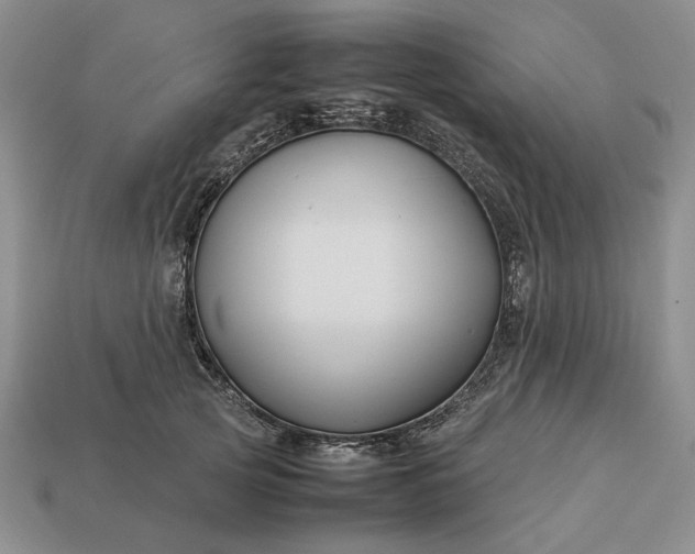 X0000113370753200909291051