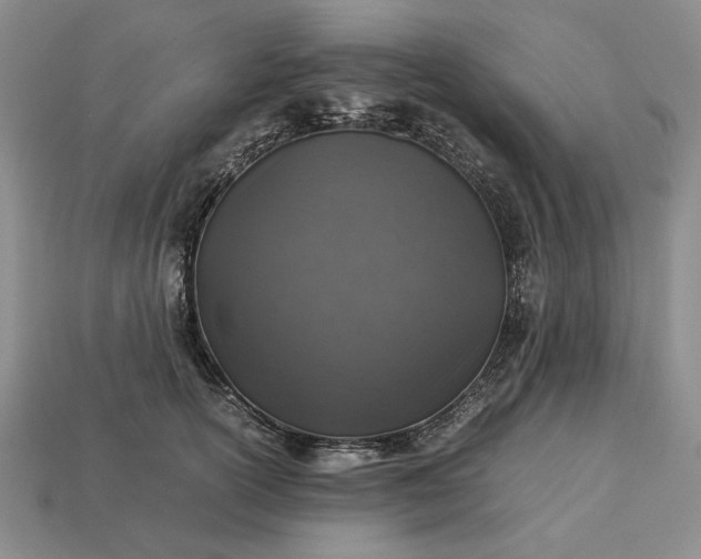 X0000113370754200909291051