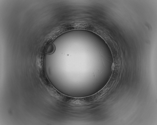 X0000113370755200909291051