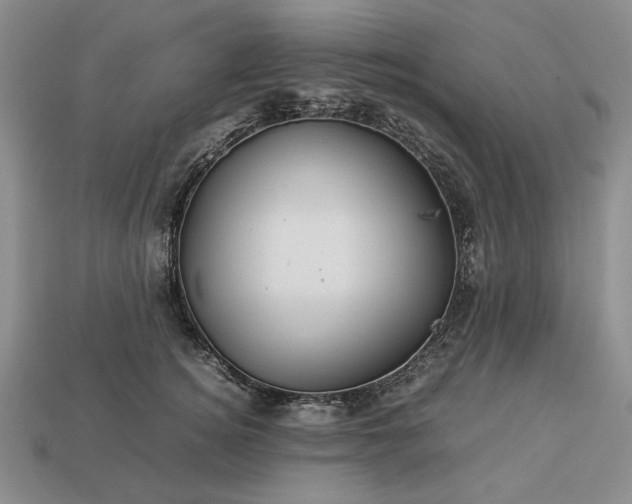 X0000113370756200909291051