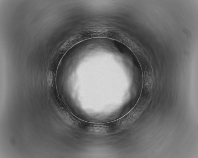 X0000113370758200909291051