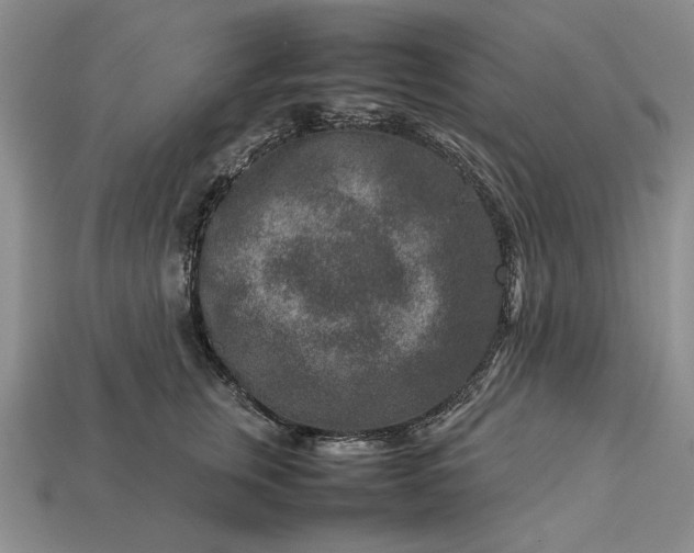 X0000113370759200909291051