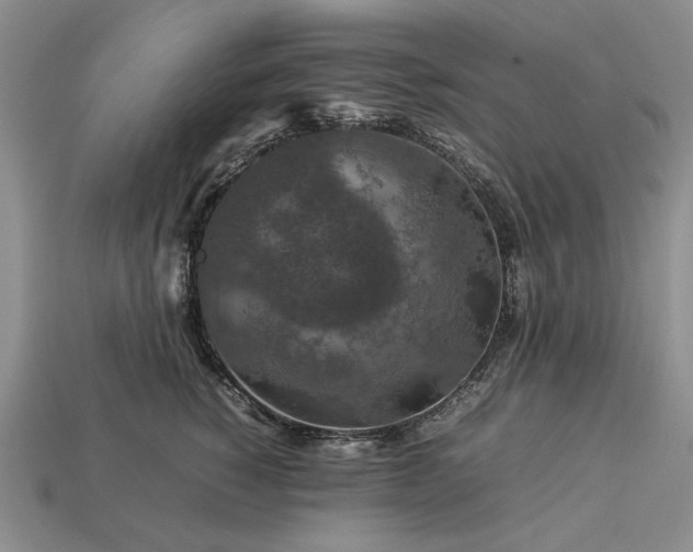 X0000113370760200909291051