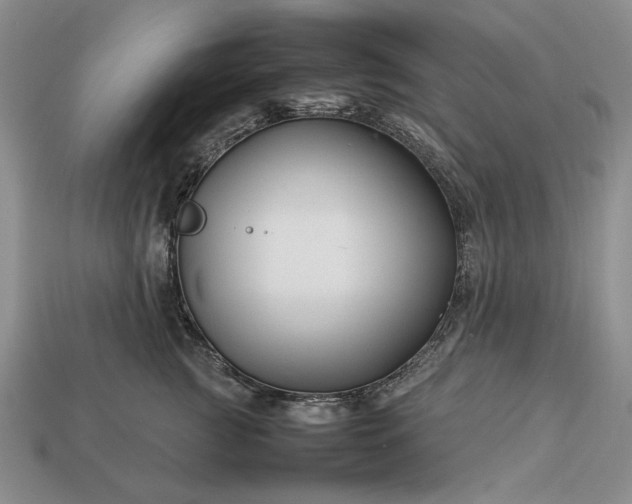 X0000113370761200909291051