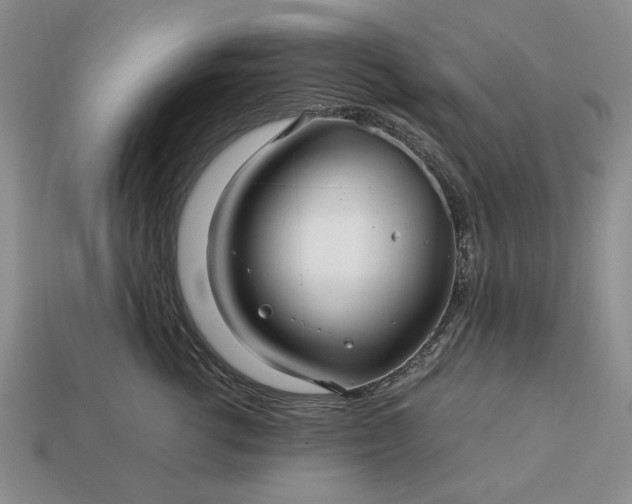 X0000113370762200909291051