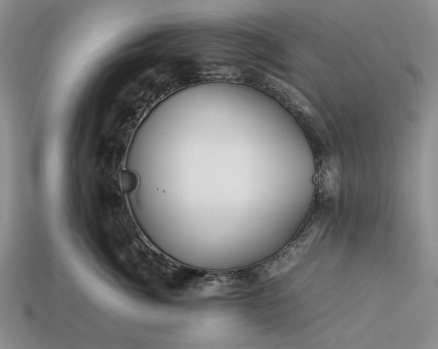 X0000113370764200909291051