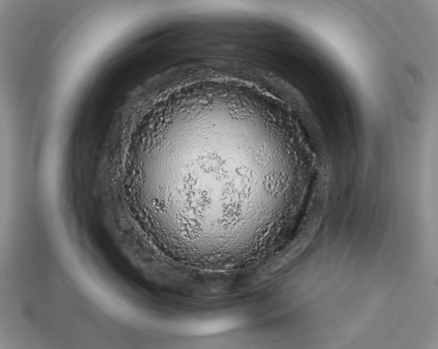 X0000113370765200909291051