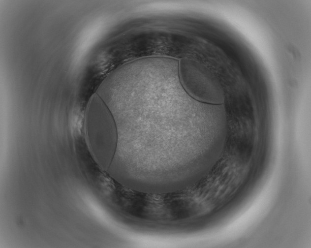 X0000113370766200909291051