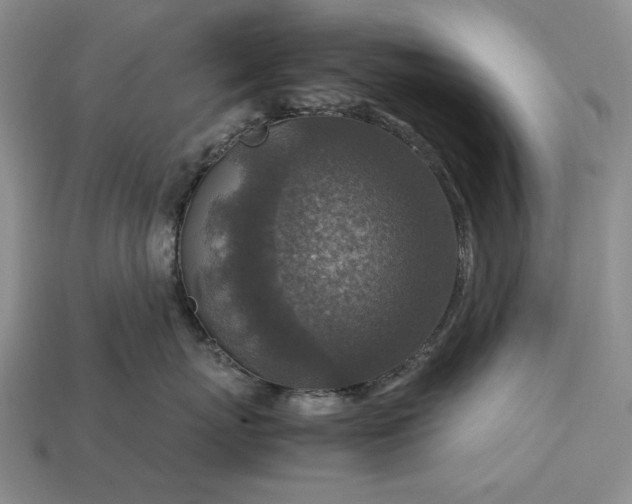 X0000113370767200909291051