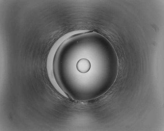 X0000113370768200909291051