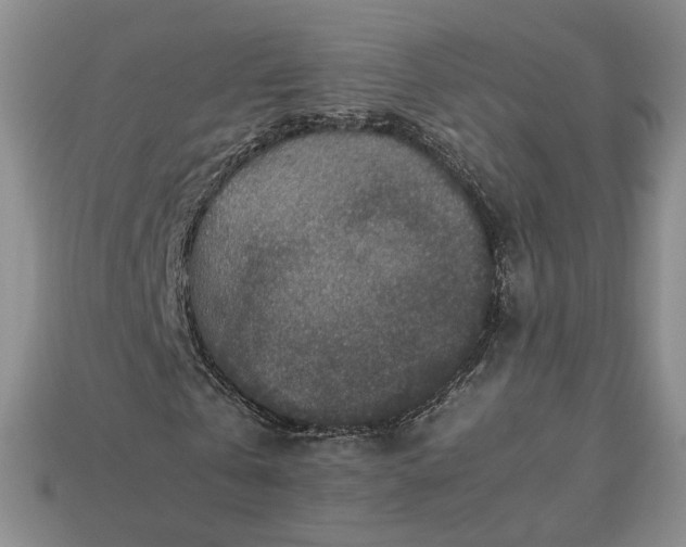 X0000113370769200909291050