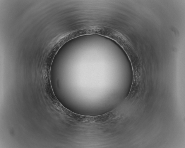 X0000113370773200909291050