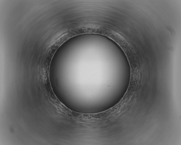 X0000113370774200909291050