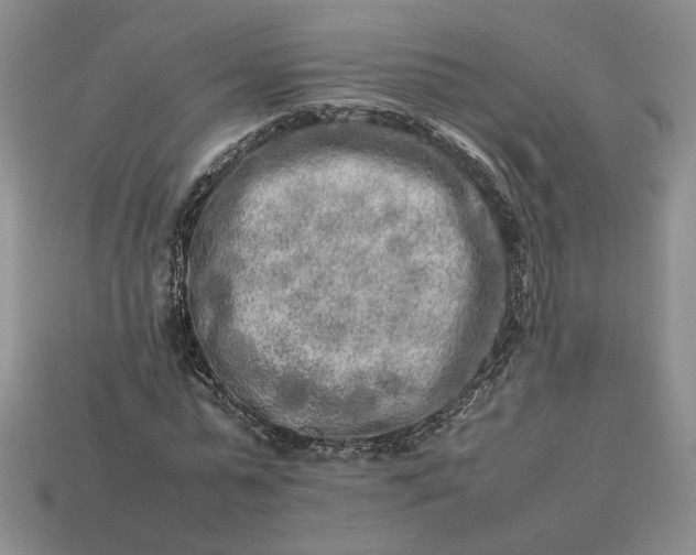 X0000113370775200909291050