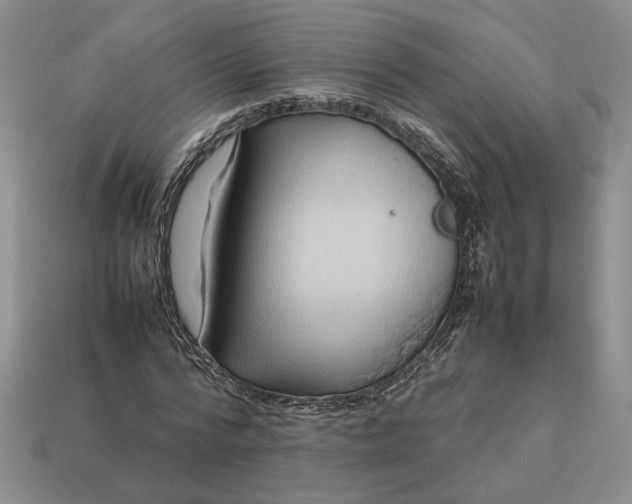 X0000113370776200909291050