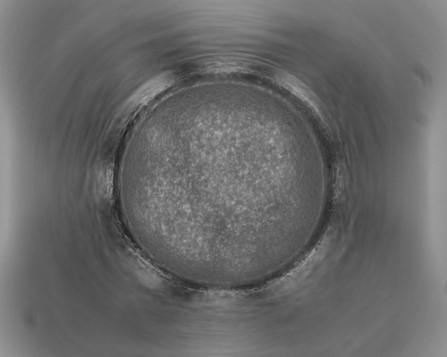 X0000113370777200909291050