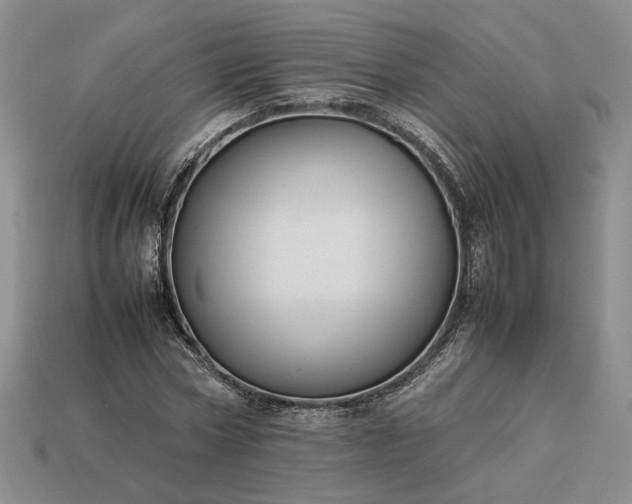 X0000113370778200909291050