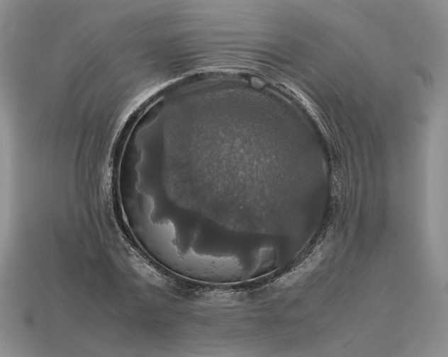 X0000113370779200909291050