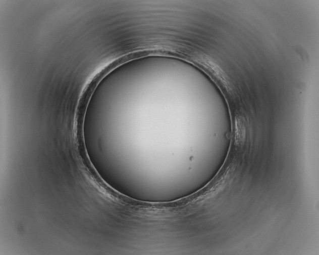 X0000113370780200909291050