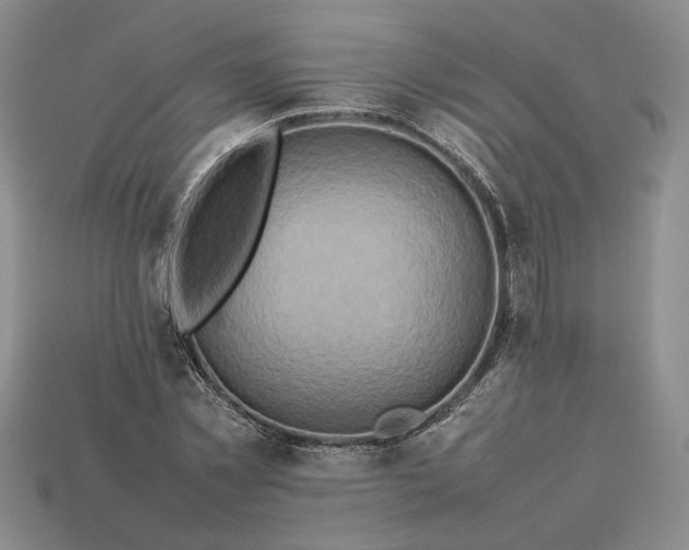 X0000113370781200909291050