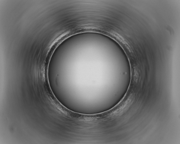 X0000113370782200909291050