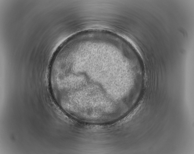 X0000113370783200909291050