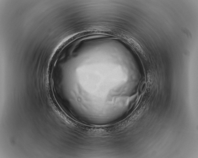 X0000113370784200909291050