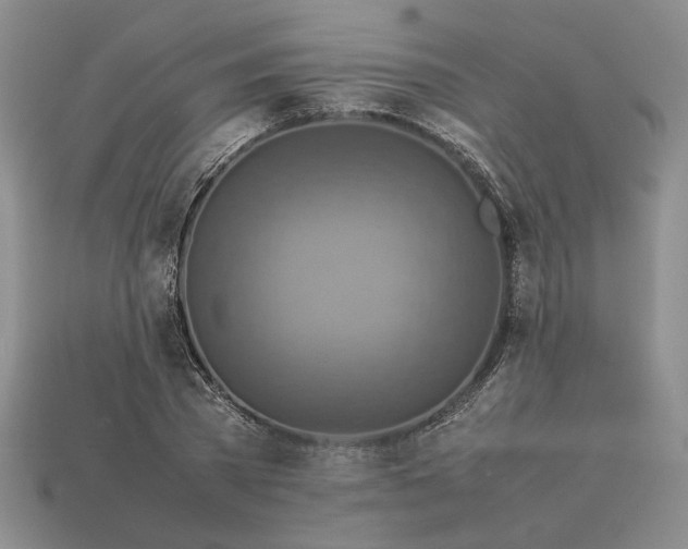 X0000113370785200909291050