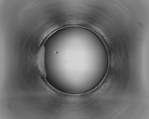 X0000113370786200909291050