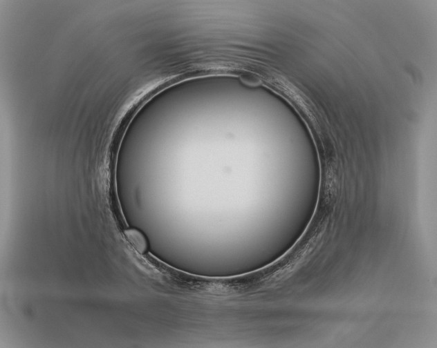 X0000113370787200909291050