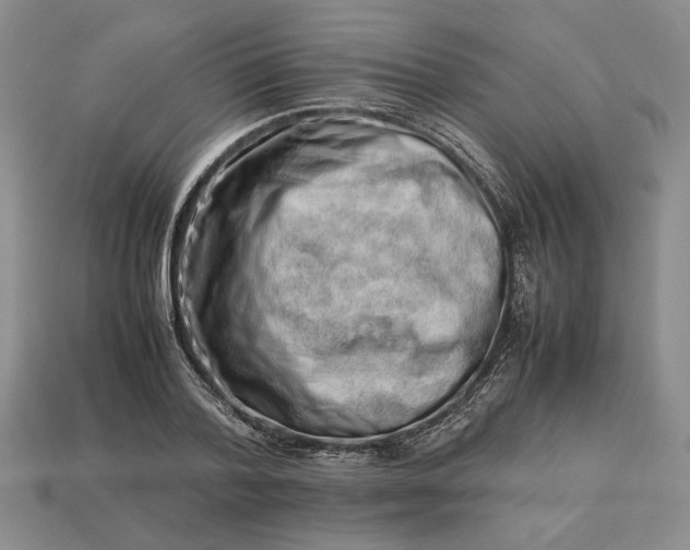 X0000113370788200909291050