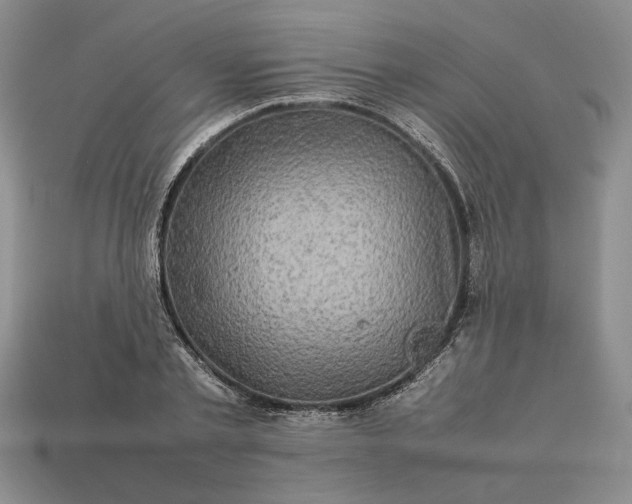 X0000113370789200909291050