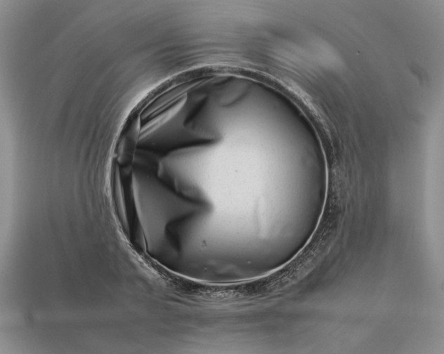 X0000113370791200909291050