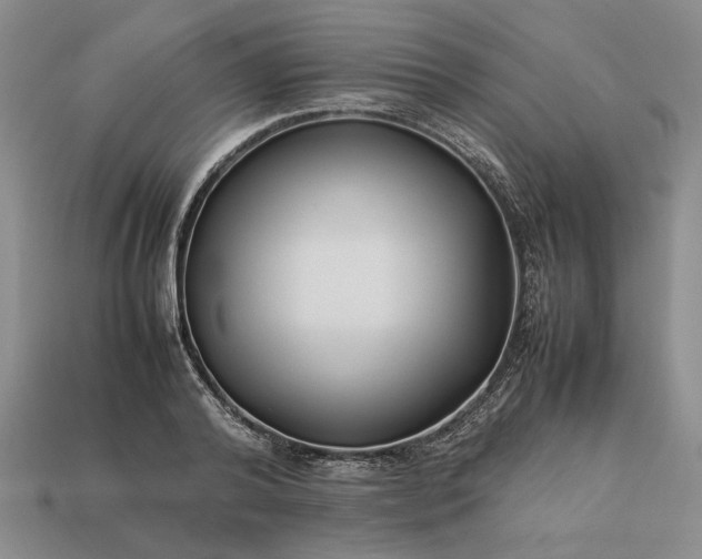 X0000113370792200909291050