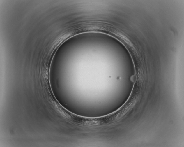 X0000113370793200909291050