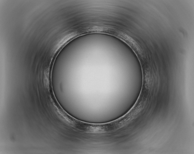 X0000113370794200909291050