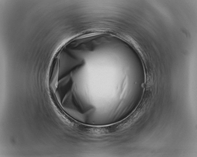 X0000113370795200909291050