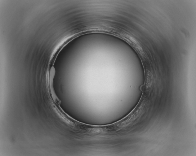 X0000113370796200909291050