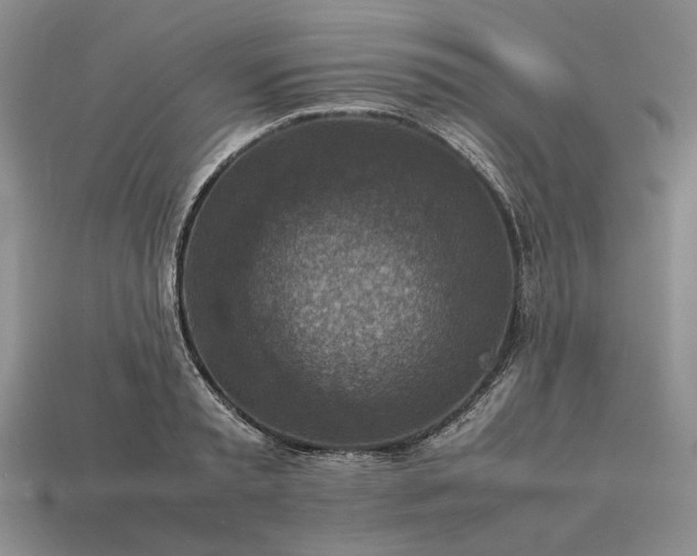 X0000113370797200909291050