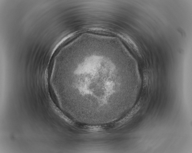 X0000113370798200909291050