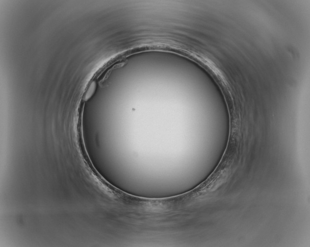 X0000113370799200909291050