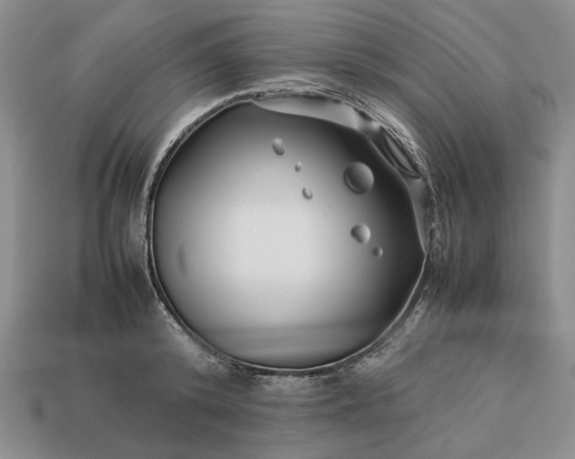 X0000113370800200909291050