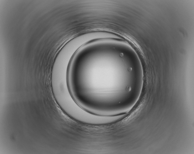 X0000113370801200909291050