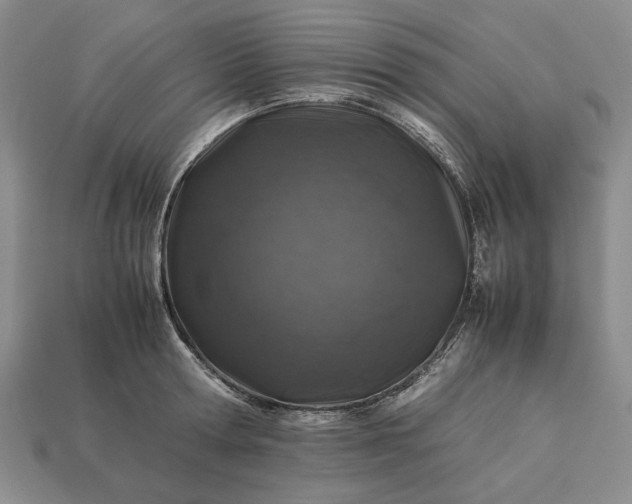 X0000113370802200909291050