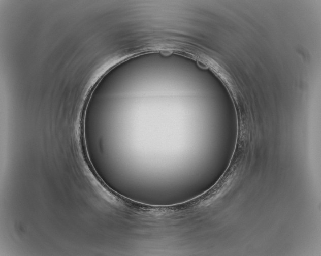 X0000113370803200909291050