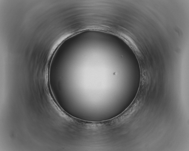 X0000113370804200909291050